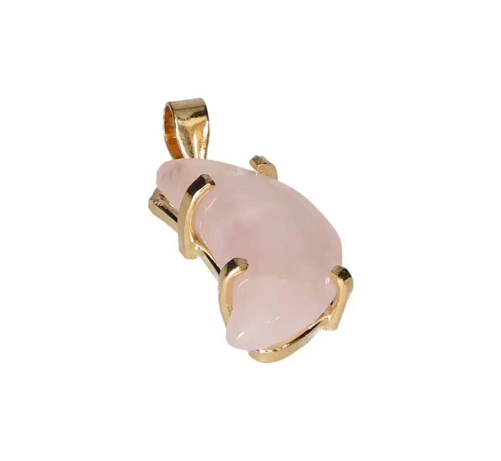 orbitvu|type:image2d