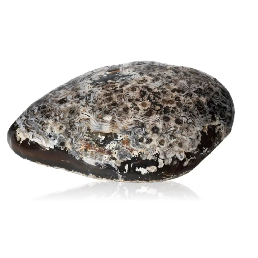 orbitvu|type:ORBITVU 360|https://orbitvu.co/share/5J26vAr7KzVNVxsnVcudok/6461956/360/iframe