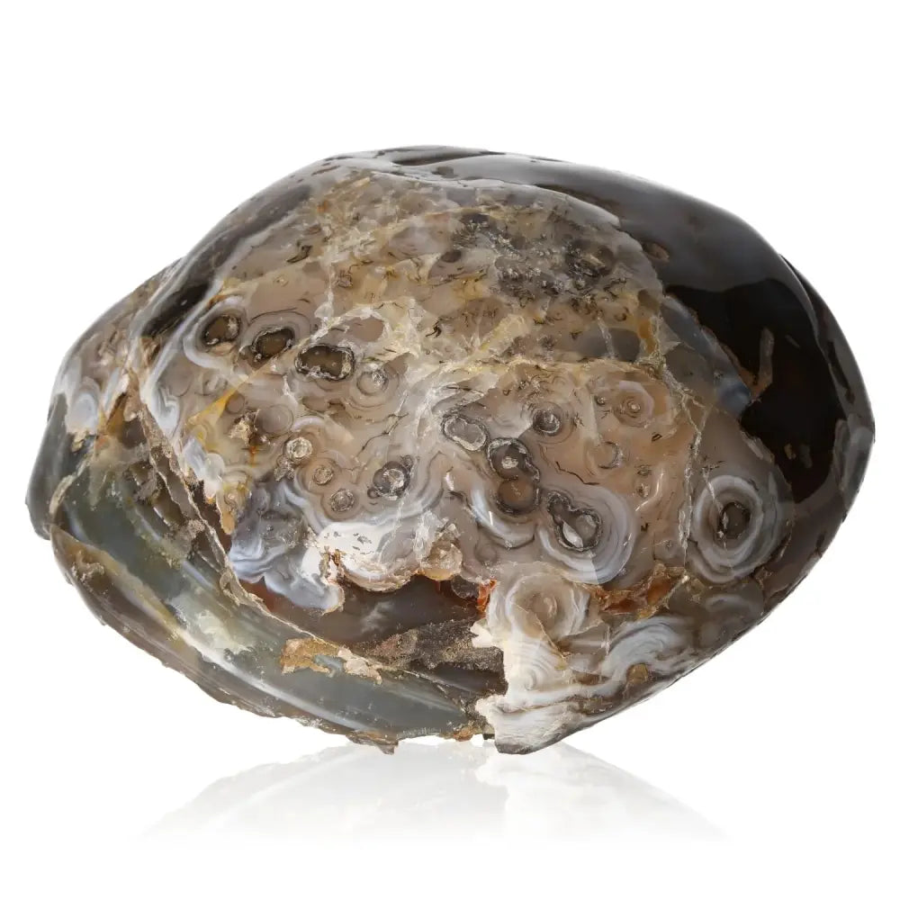 orbitvu|type:image2d