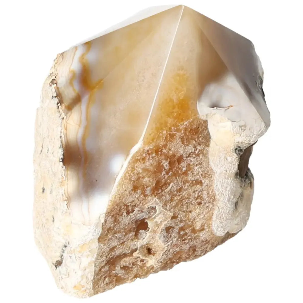 orbitvu|type:image2d