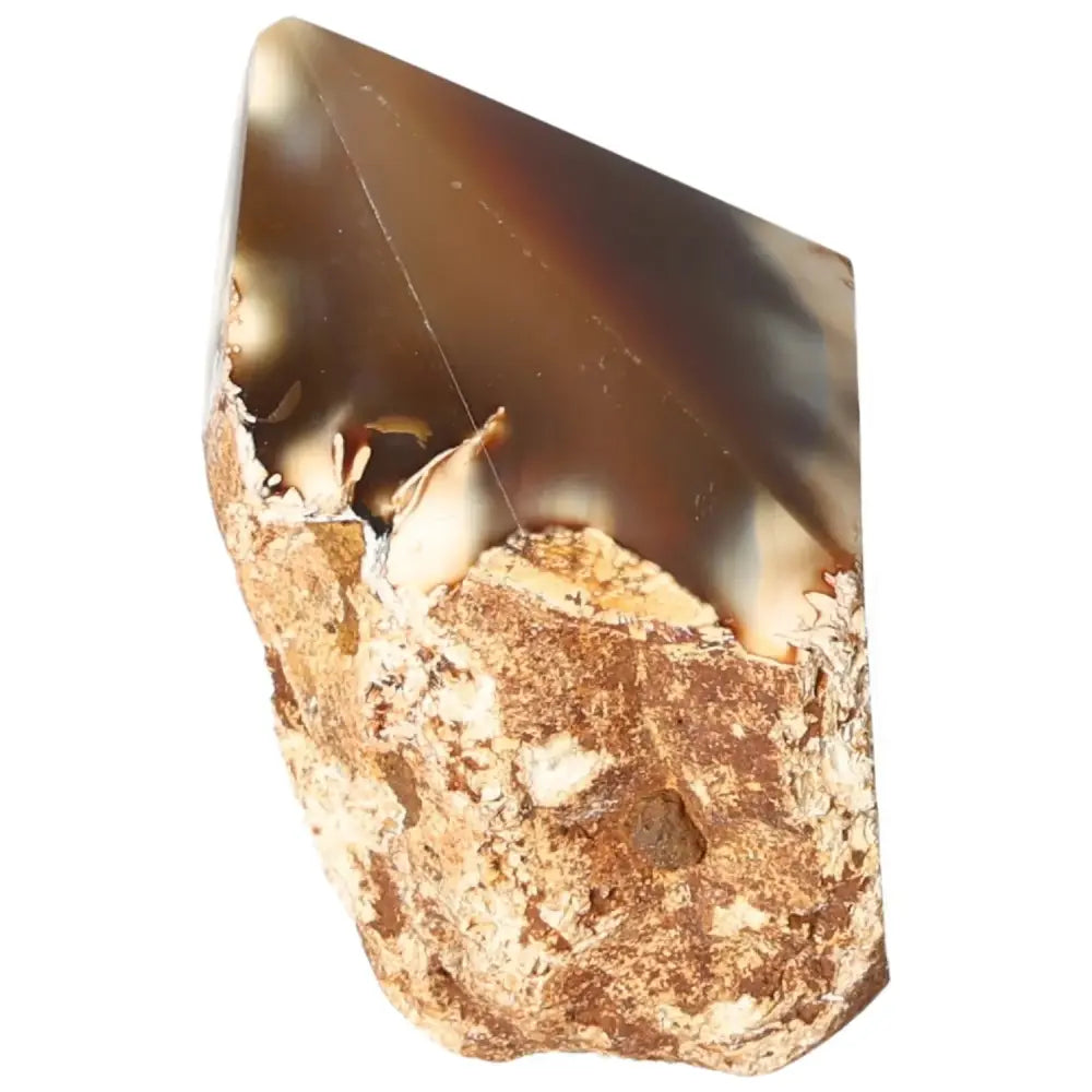 orbitvu|type:image2d