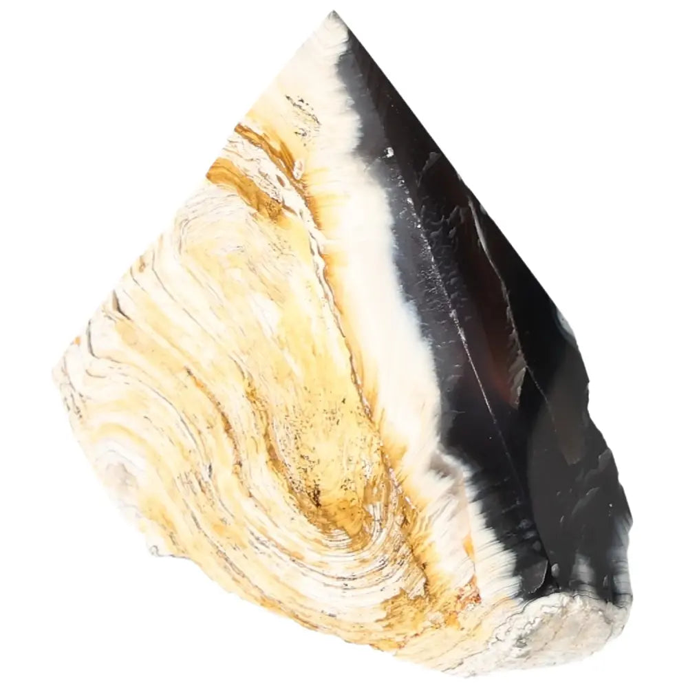 Polished Agate Point by Sylvia Crystals, exquisite handpicked stone for harmony and balance.