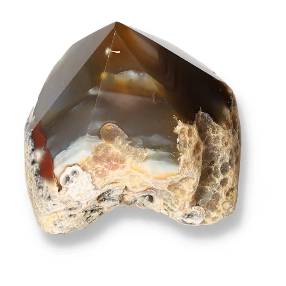 Polished Agate Point from Sylvia Crystals featuring rich earthy tones, symbolizing elegance and spiritual harmony.