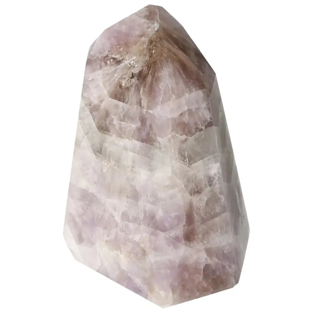 orbitvu|type:image2d