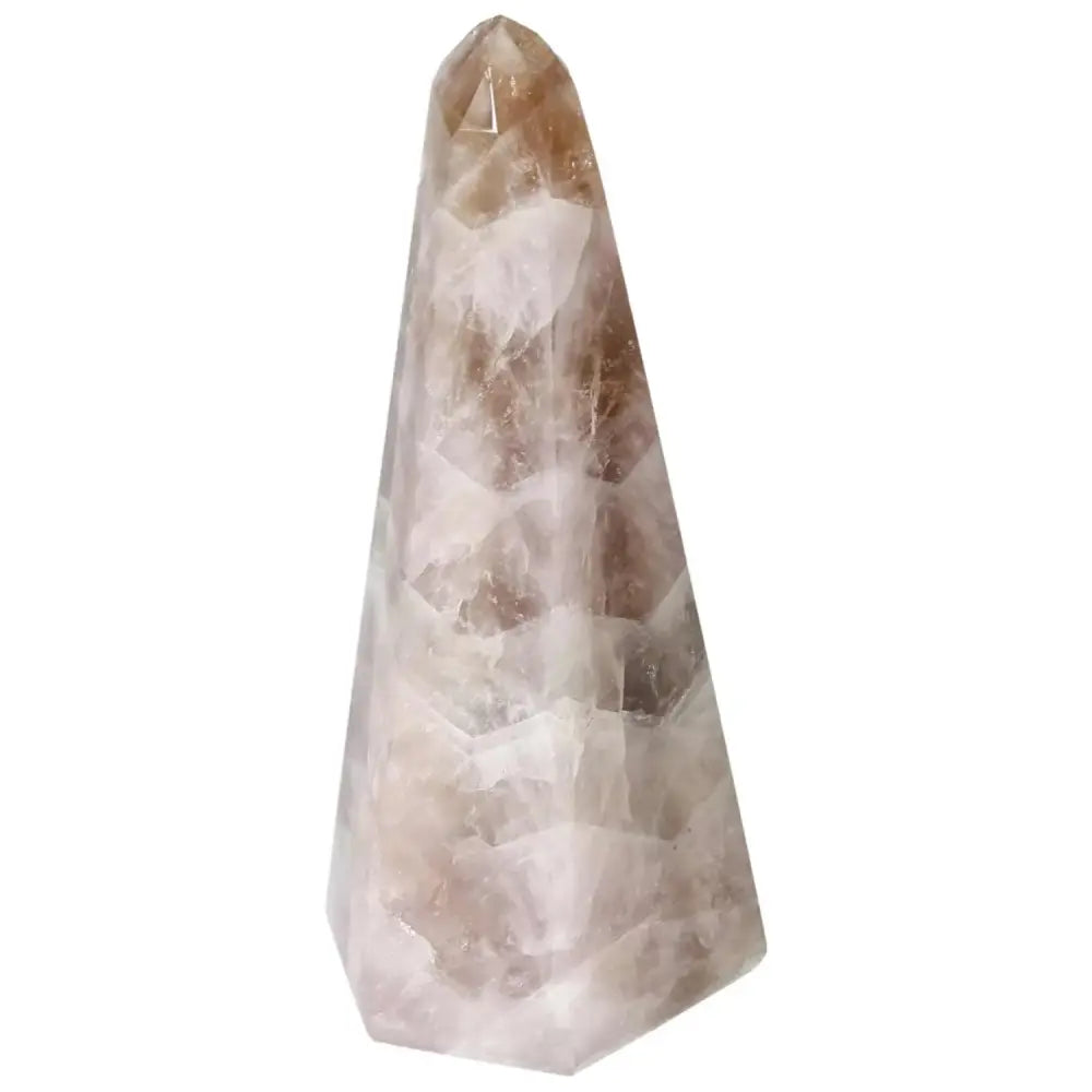 orbitvu|type:image2d