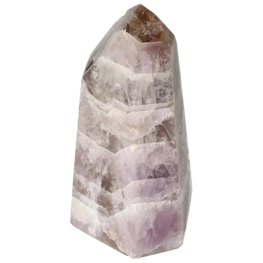 orbitvu|type:image2d