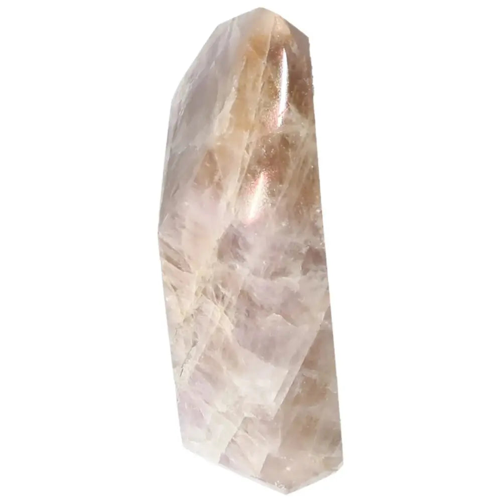 orbitvu|type:image2d