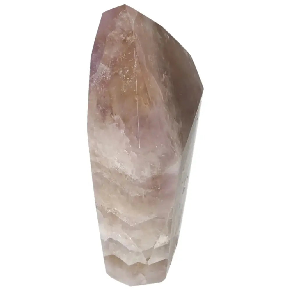 orbitvu|type:image2d