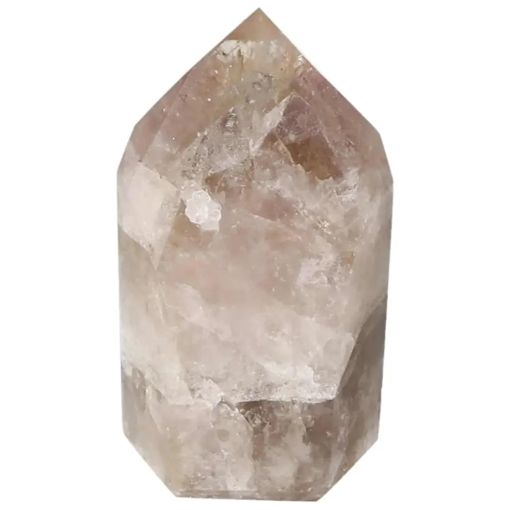 orbitvu|type:image2d