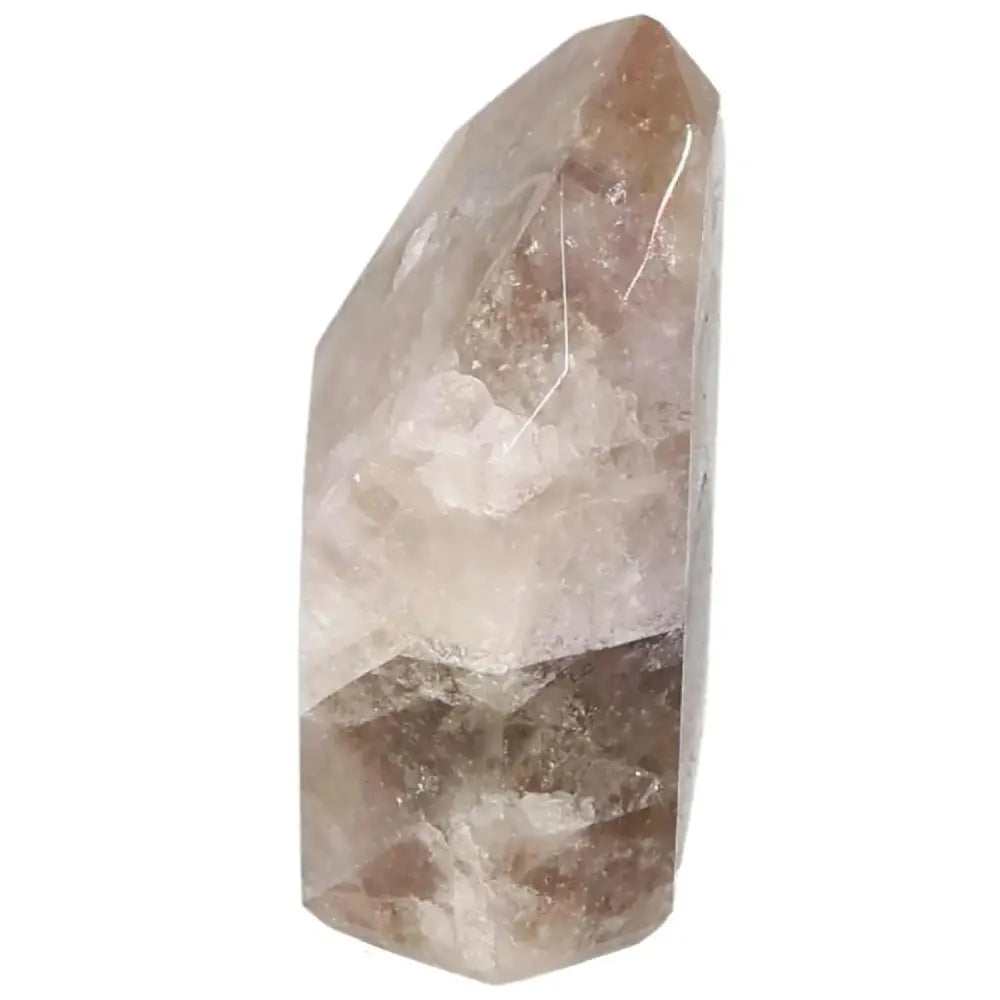 orbitvu|type:image2d