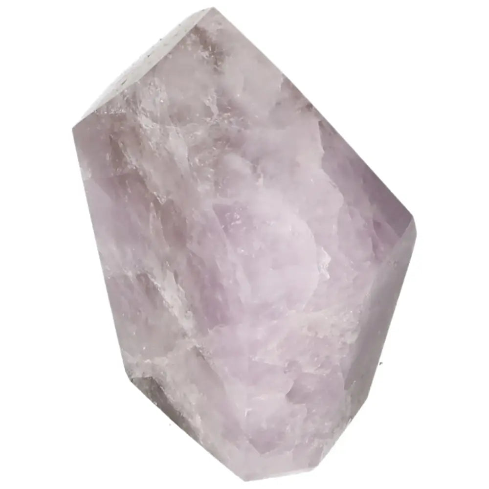 orbitvu|type:image2d