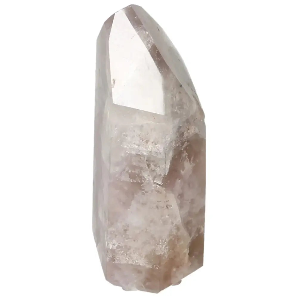 orbitvu|type:image2d