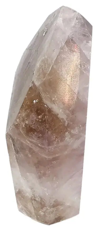 orbitvu|type:image2d