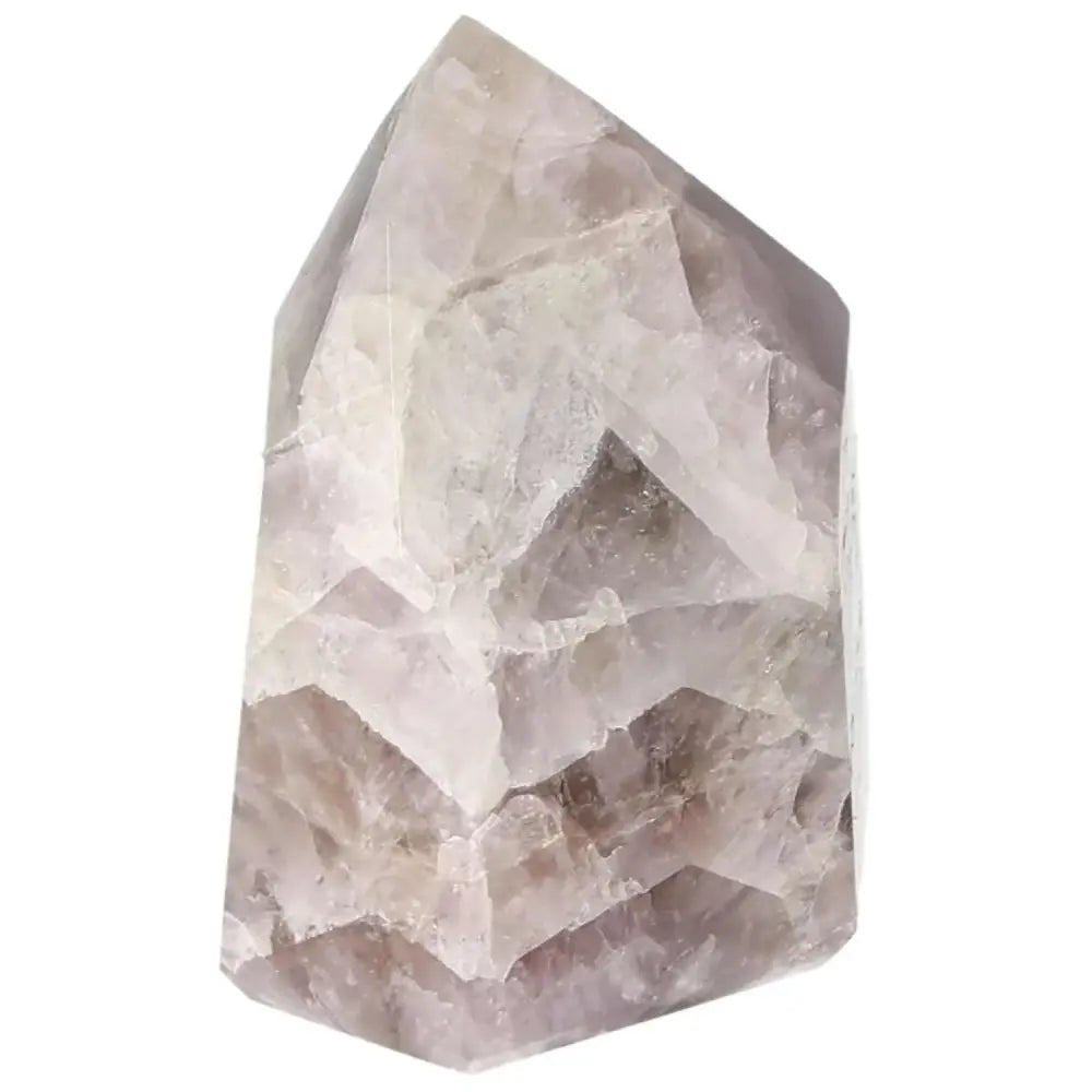 orbitvu|type:image2d