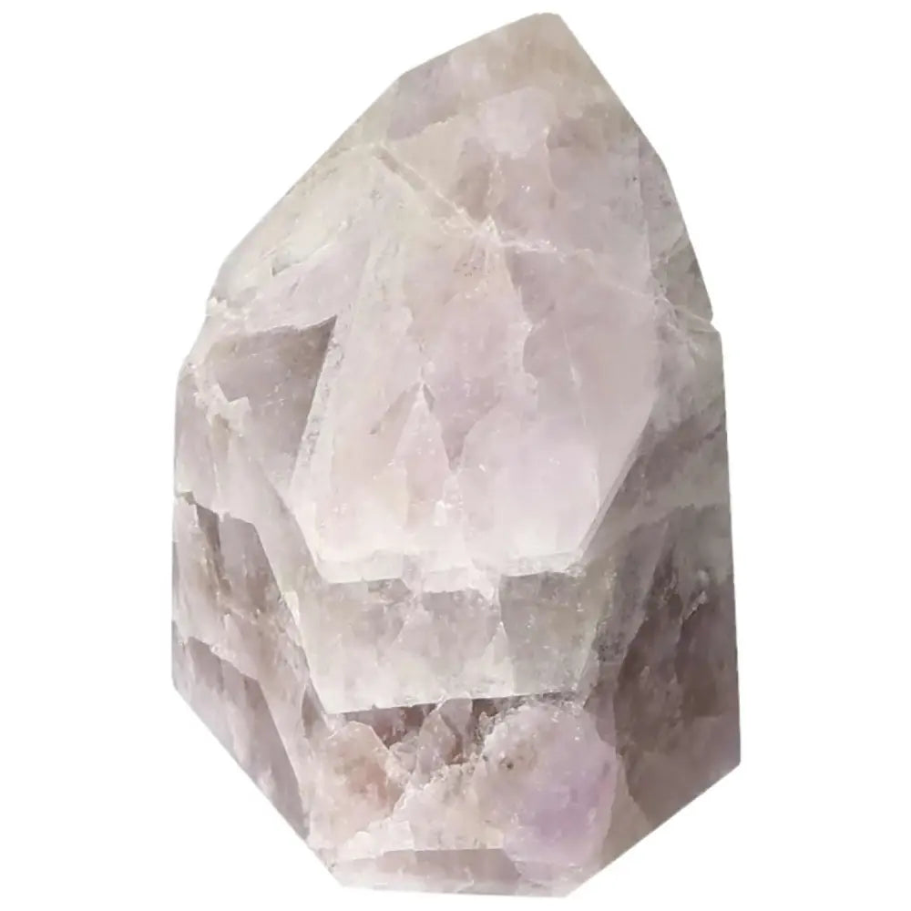 orbitvu|type:image2d