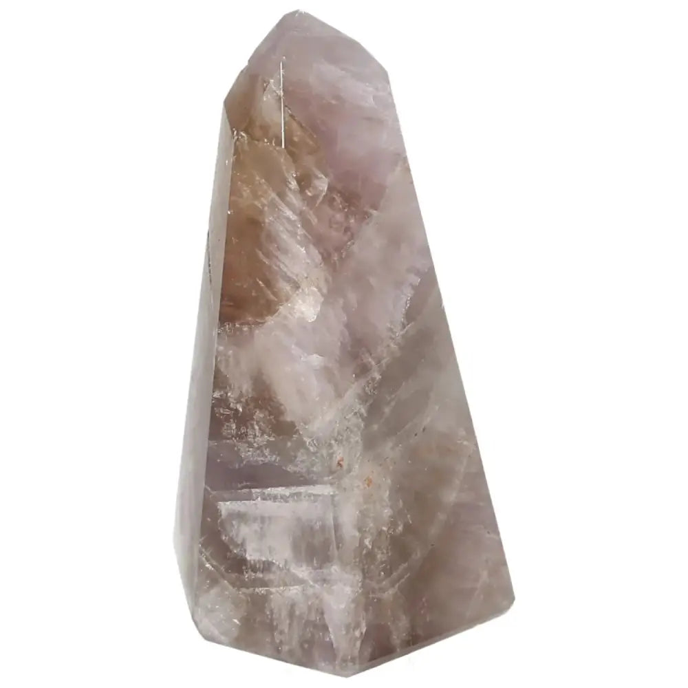 orbitvu|type:image2d