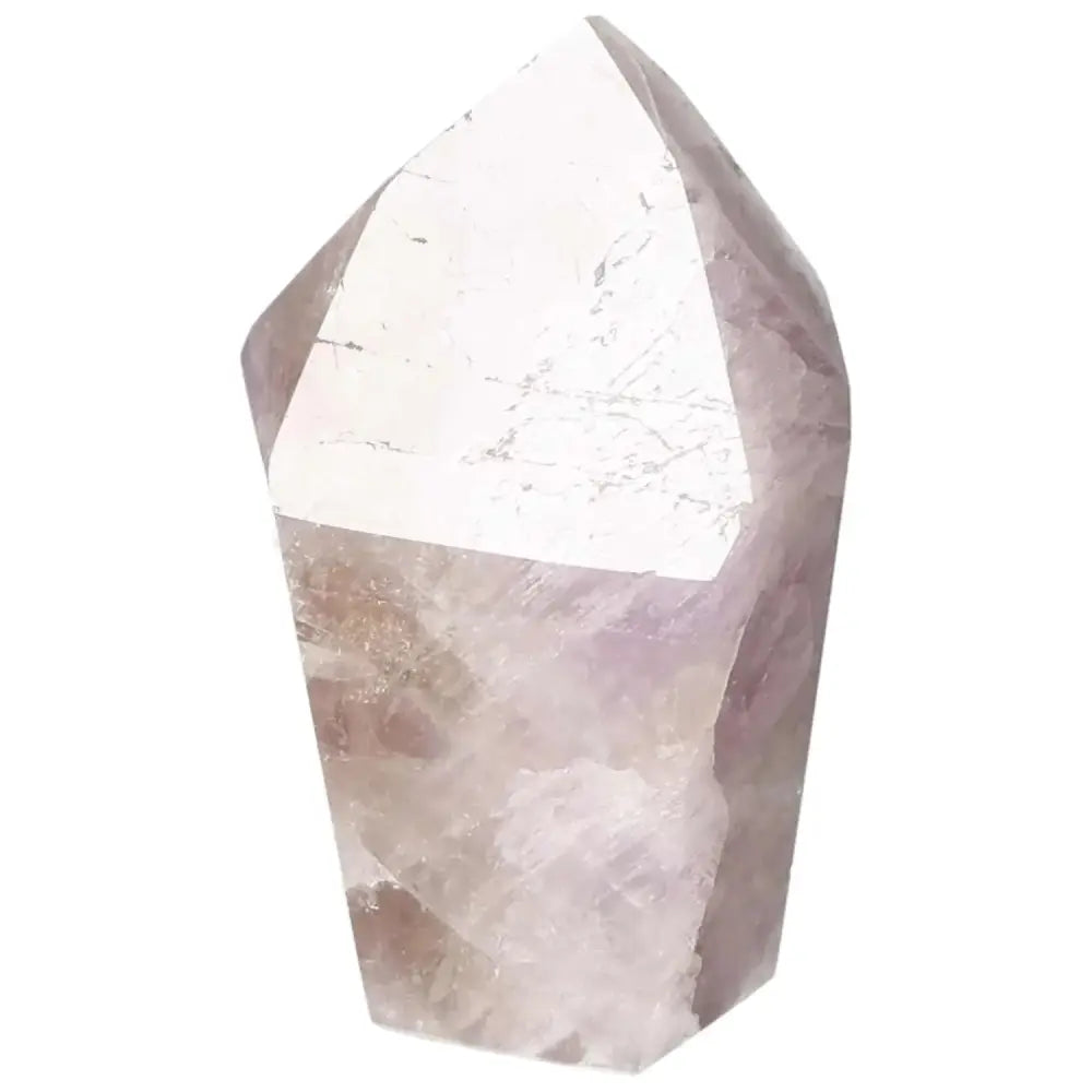 orbitvu|type:image2d