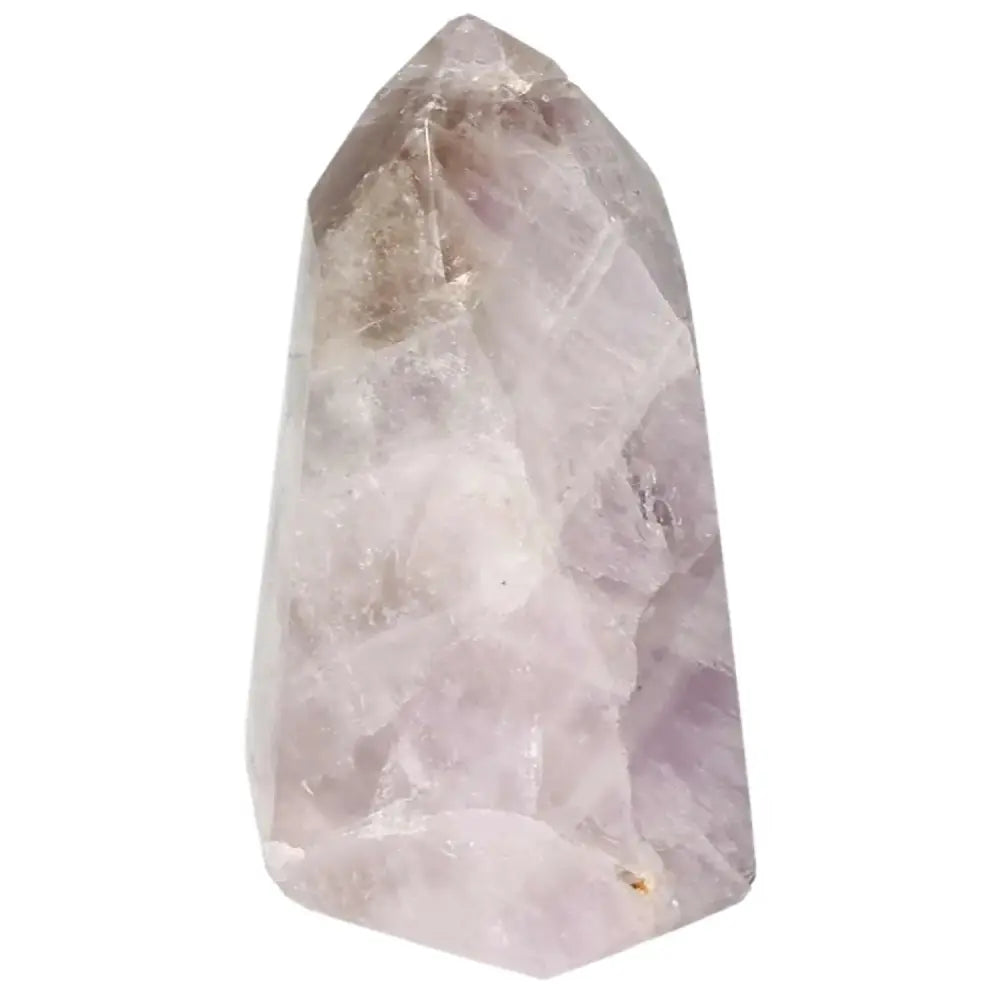 orbitvu|type:image2d