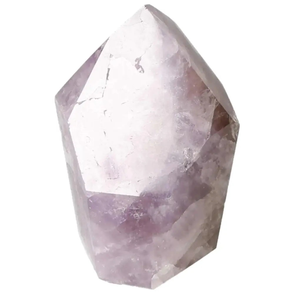 orbitvu|type:image2d