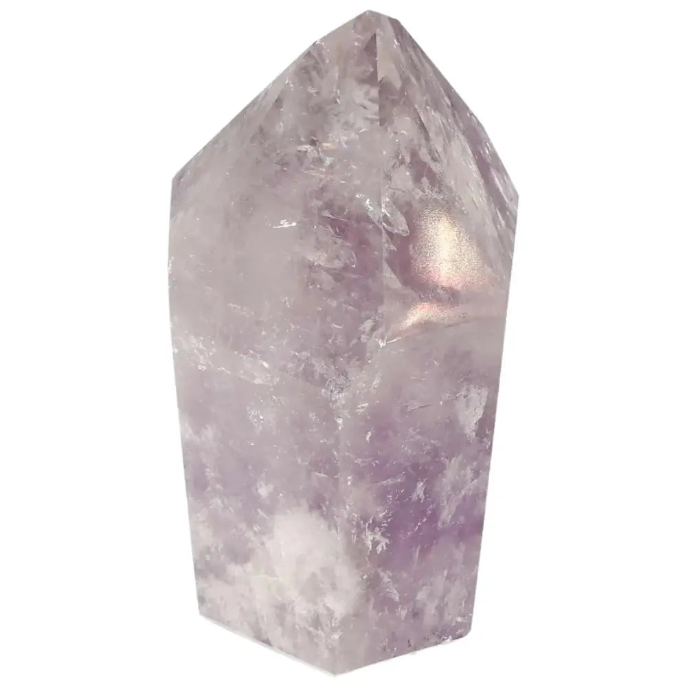 orbitvu|type:image2d