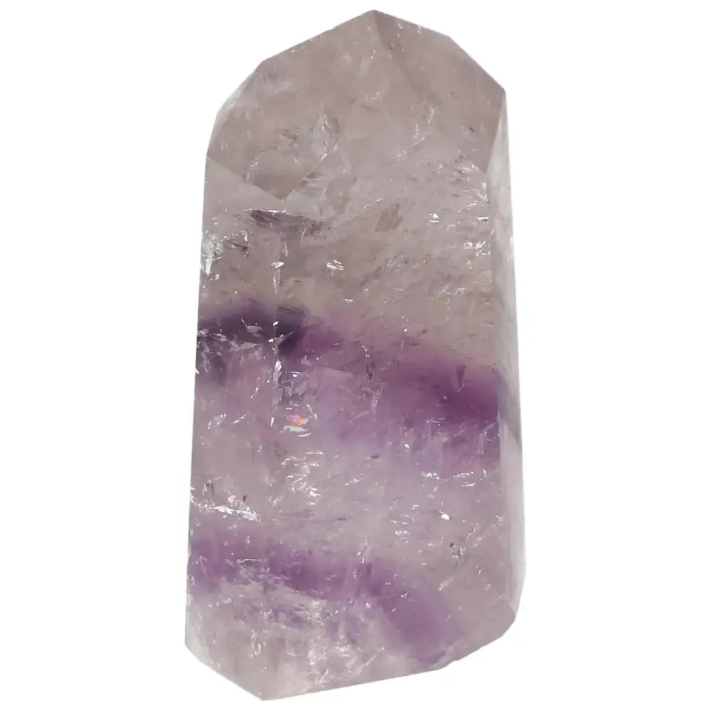 orbitvu|type:image2d