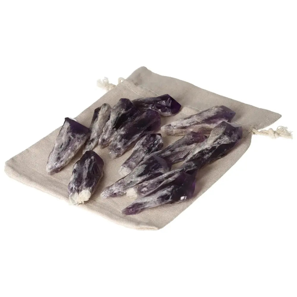 orbitvu|type:image2d