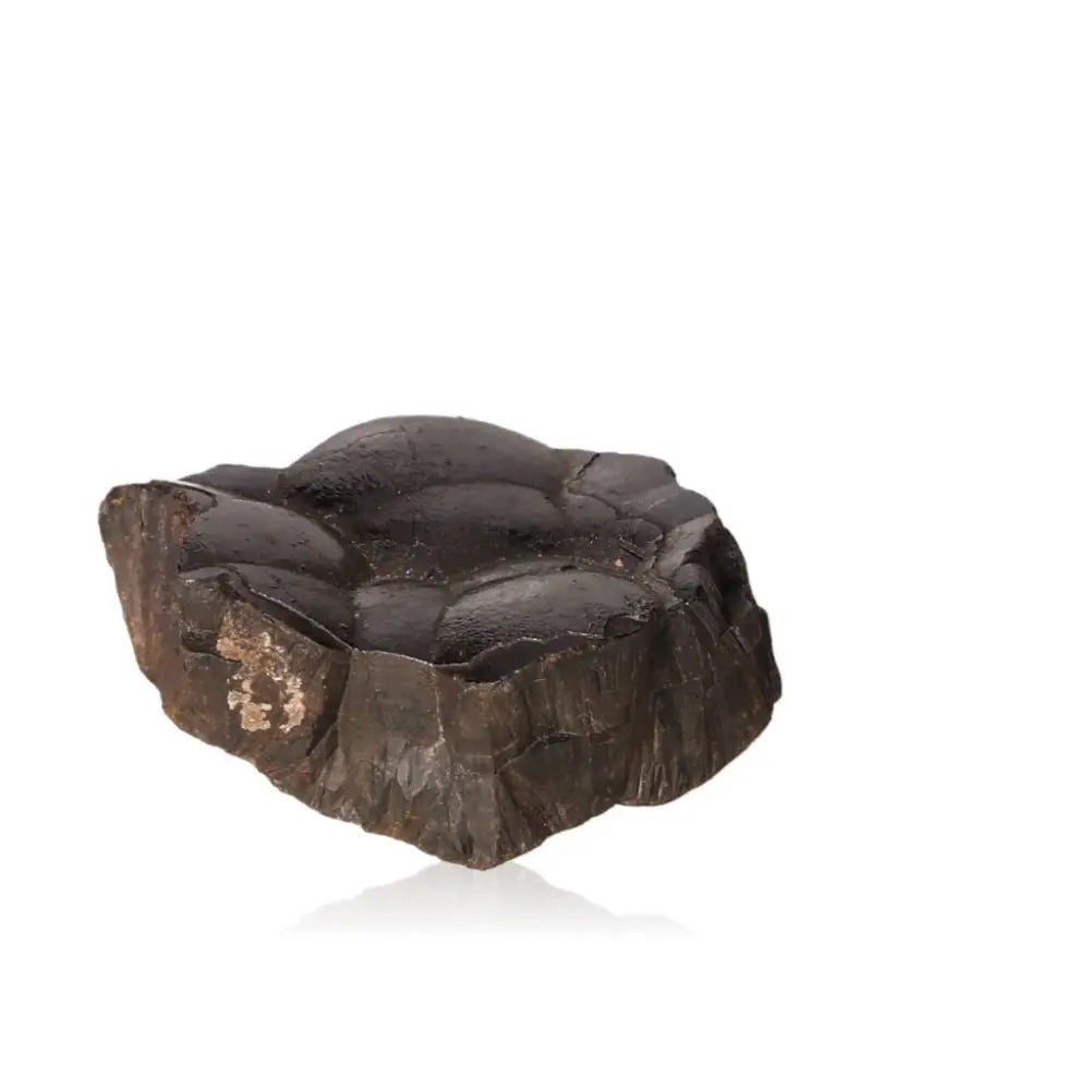 Shimmering polished botryoidal hematite crystal for grounding and empowerment on a white background.