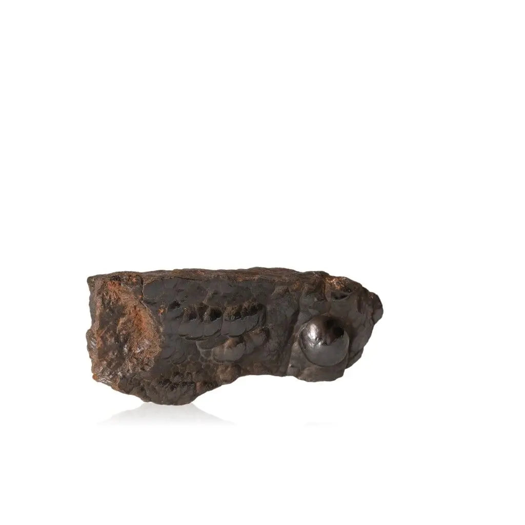 Polished Botryoidal Hematite gemstone radiating strength and courage, enhancing personal growth and confidence.