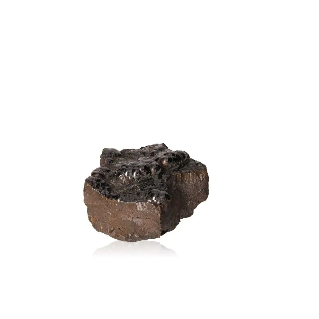 Polished Botryoidal Hematite crystal cluster with metallic sheen, enhancing energy and emotional balance.