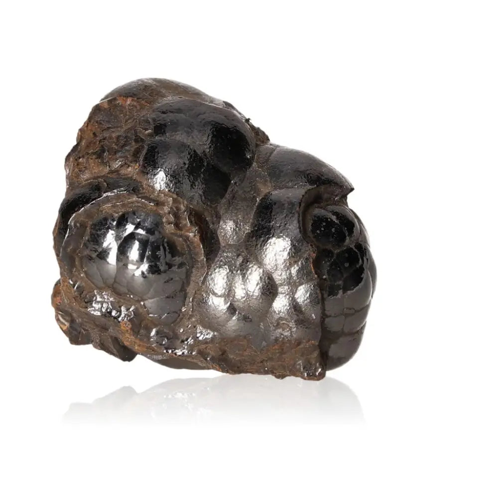 Polished Botryoidal Hematite crystal with metallic luster, ideal for energy grounding and emotional balance.