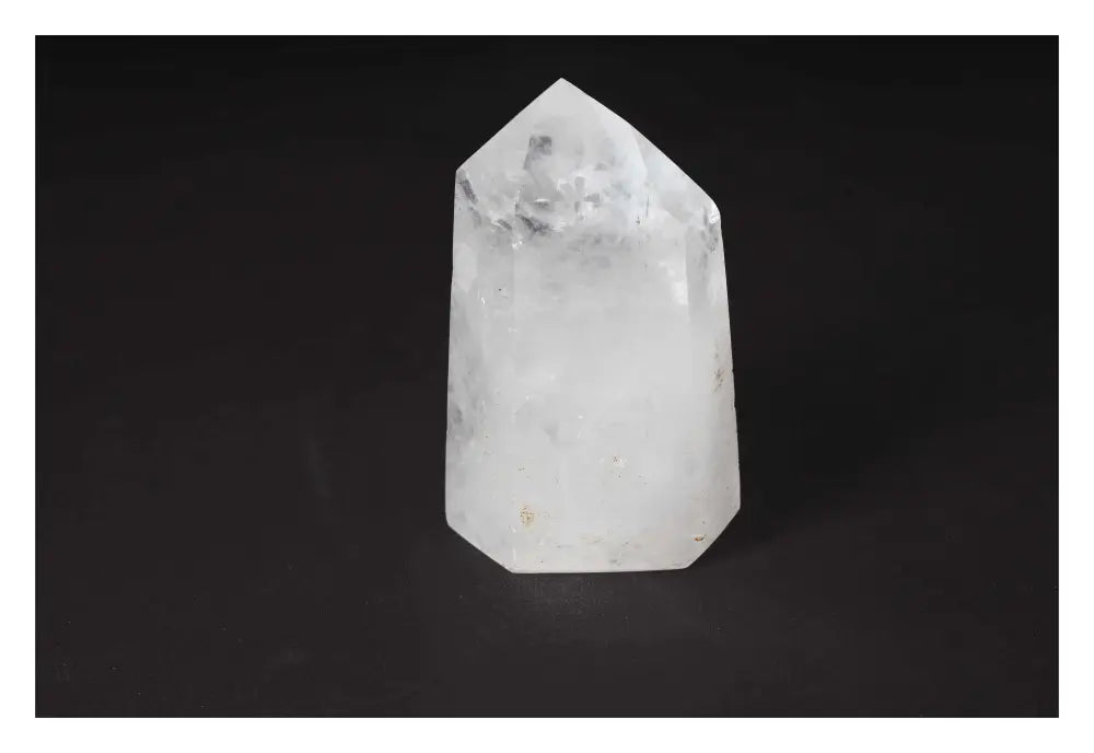 orbitvu|type:image2d