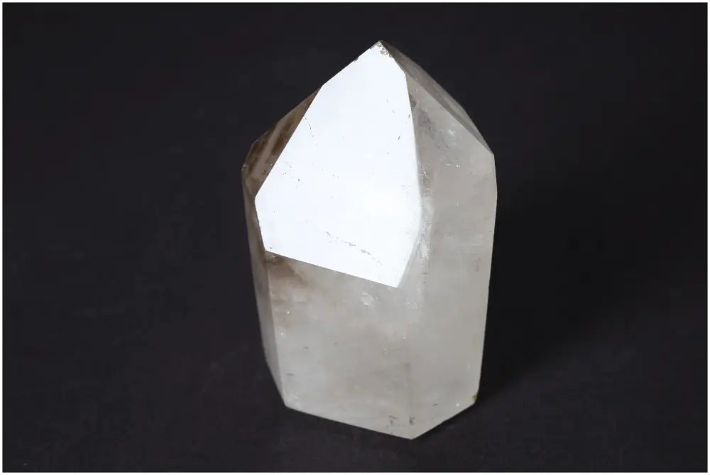 orbitvu|type:image2d