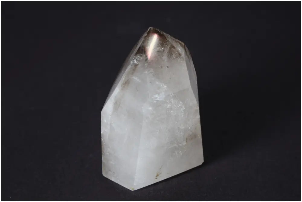 orbitvu|type:image2d