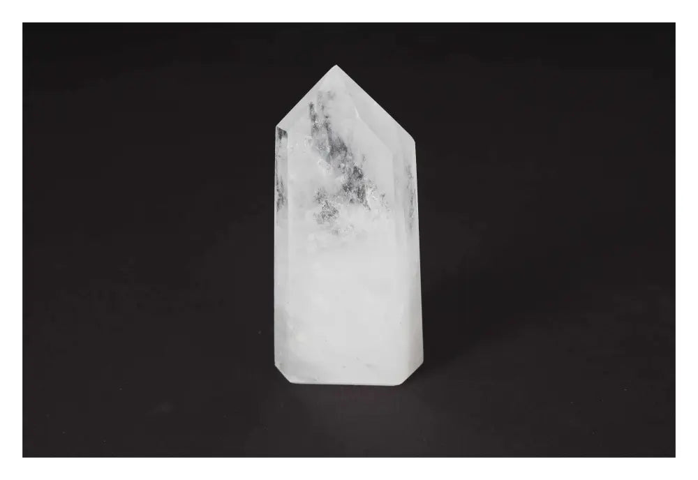 orbitvu|type:image2d