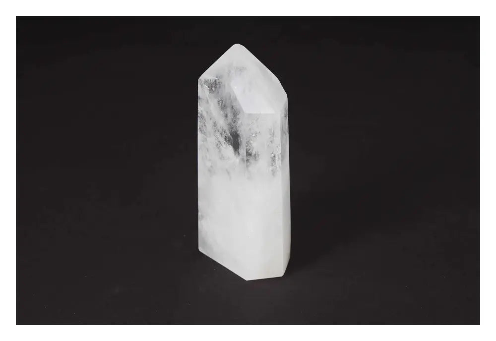 orbitvu|type:image2d