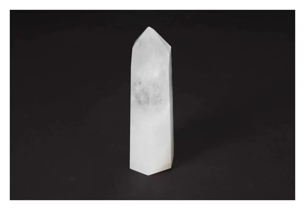 orbitvu|type:image2d