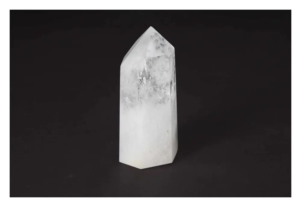 orbitvu|type:image2d