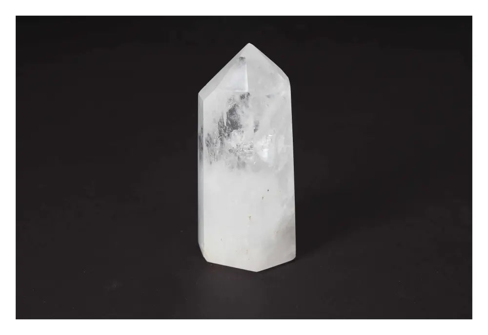 orbitvu|type:image2d