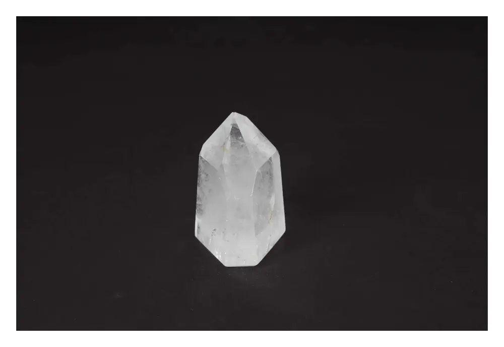 orbitvu|type:image2d