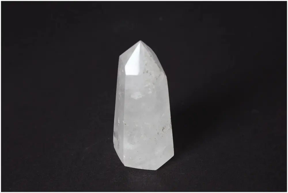 orbitvu|type:image2d