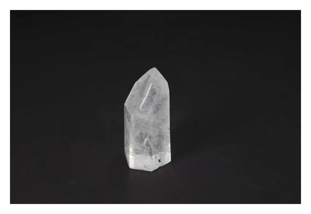 orbitvu|type:image2d