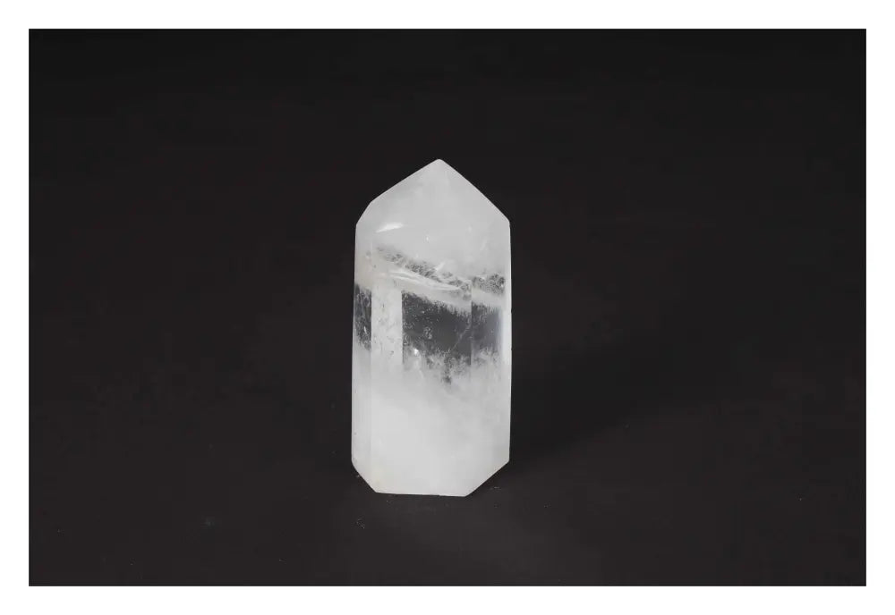 orbitvu|type:image2d