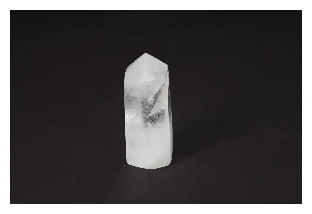 orbitvu|type:image2d