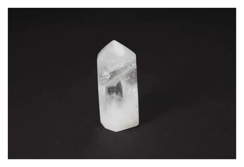 orbitvu|type:image2d