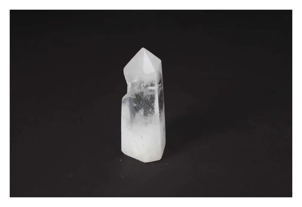 orbitvu|type:image2d