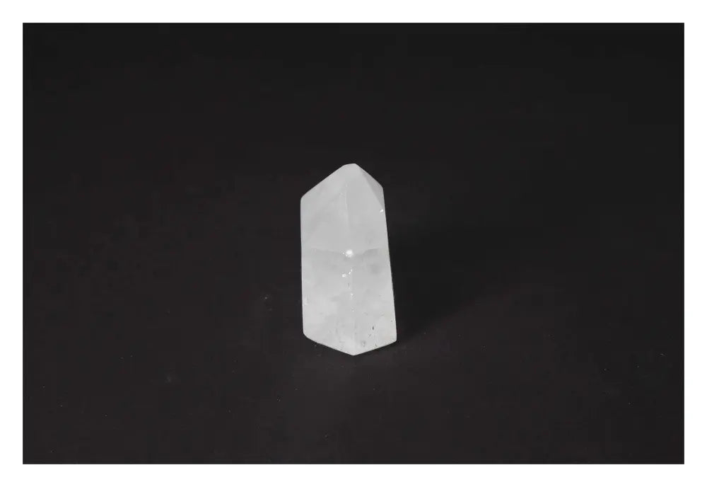 orbitvu|type:image2d