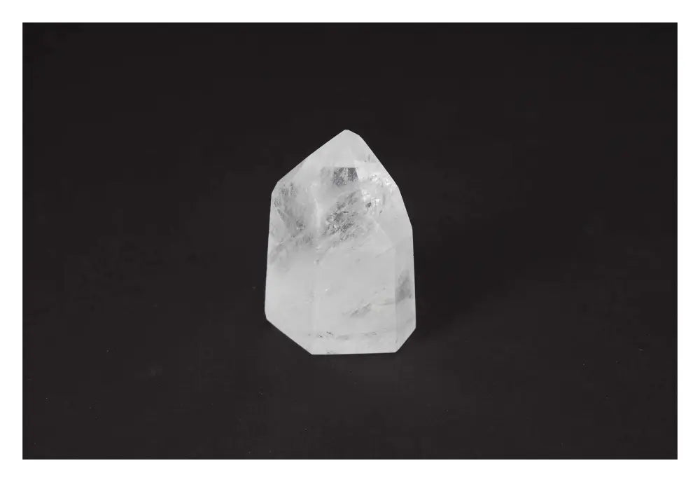 orbitvu|type:image2d