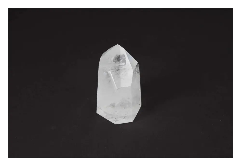 orbitvu|type:image2d