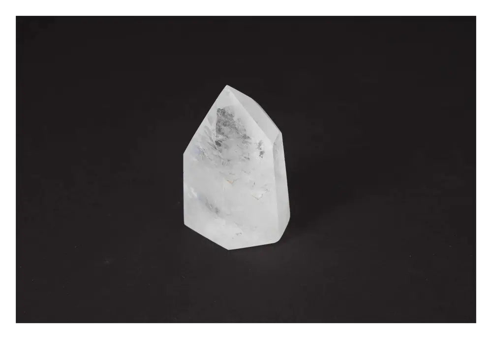 orbitvu|type:image2d