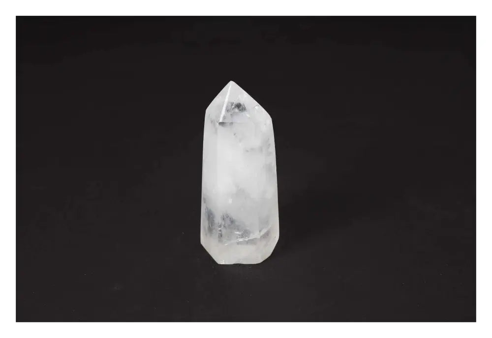 orbitvu|type:image2d